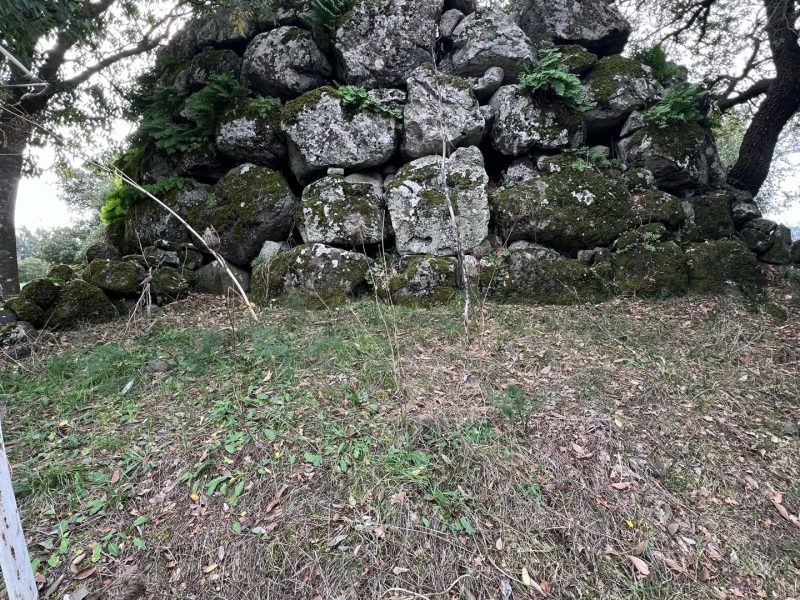 Nuraghe Padru Longu, Aidomaggiore