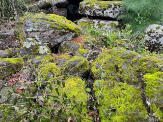 Nuraghe Iscrallotze o Bolessene, Aidomaggiore